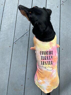 Pet Large 'Official Turkey Taster' Orange & Red Random Tie-Dye T-Shirt